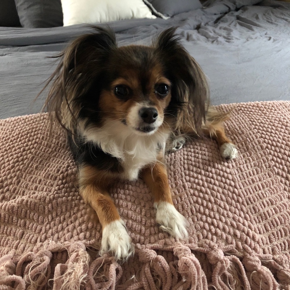 Meet your Posher, Amanda